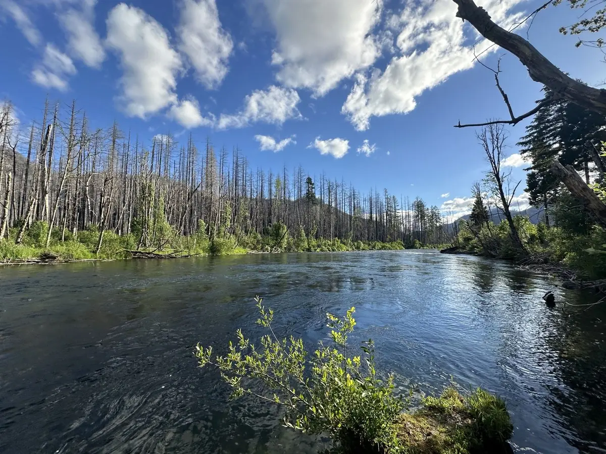 The Umpqua Valley river country of Douglas County, Oregon — the communities Mistletoe Construction calls home
